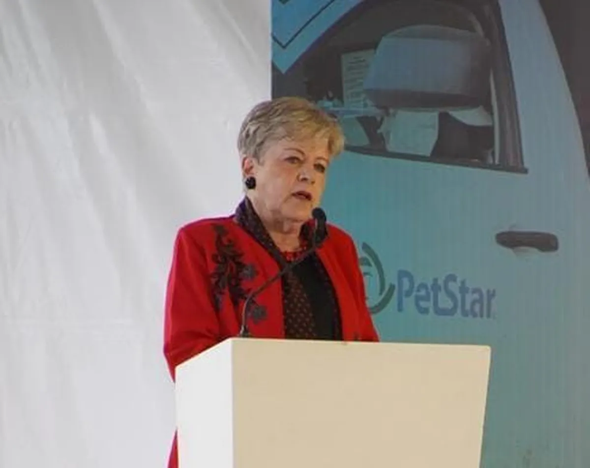 Alicia Bárcena Ibarra