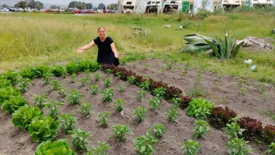 huerto orgánico en Tulancingo