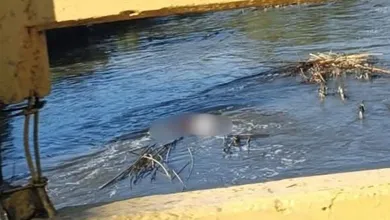 Cuerpos de emergencia tras hallazgo de cadáver en canal de Doxey, Tlaxcoapan