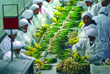 Hidalgo incrementa exportaciones, pero es lugar 22 nacional
