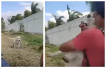 Maltrato animal en Hidalgo: jóvenes obligan a perrito a tomar alcohol