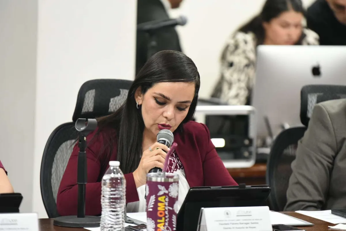 Proponen reforzar filtros de personal en refugios para mujeres víctimas de violencia en Hidalgo