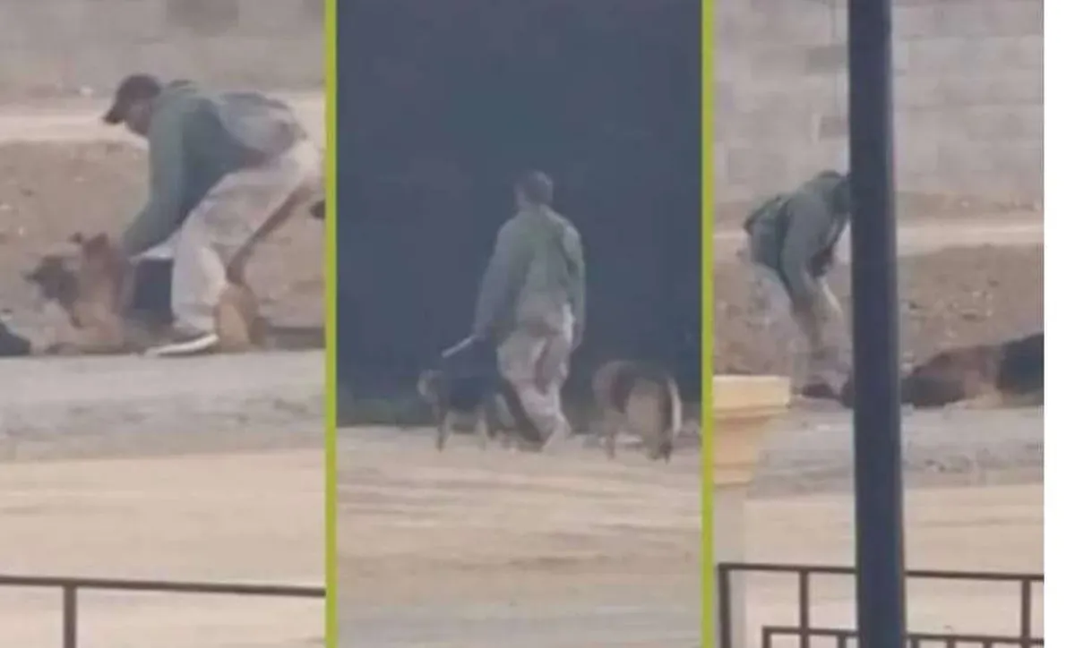 Hombre es captado atacando a dos perros con un machete en Zempoala