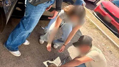 Rescatan a perros por maltrato animal en Tula