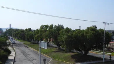 La presión vecinal logró acuerdos con Semarnath tras la polémica por los árboles en Fomento Minero. Ahora piden estudios, transparencia y planes reales de reforestación.