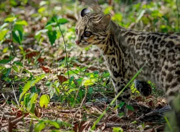 Zimapán: publican convenio de Ordenamiento Ecológico ocho meses después de su firma