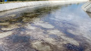 Derrame de hidrocarburo en el río Tula