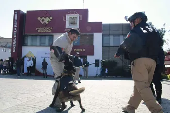 Unidad Canina K9 Mineral de la Reforma