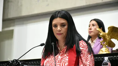 Diputada Karla Perales Arrieta