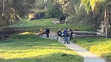 Patrullas acordonan zona rural en Tezontepec tras hallazgo.