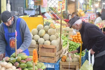 En Hidalgo 71 municipios producen para autoconsumo: economista