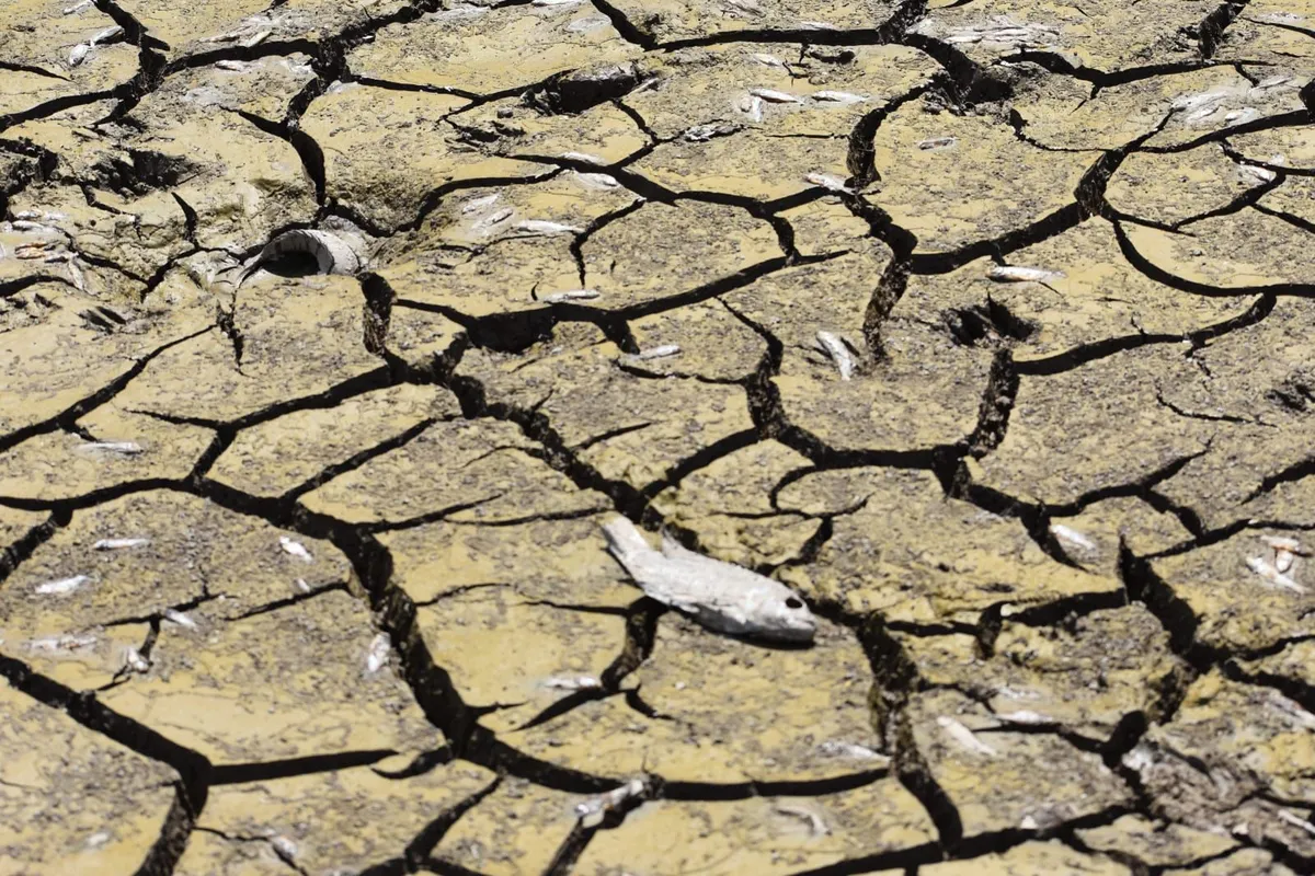 Hidalgo enfrenta la peor sequía de la década: Conagua