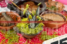 Entre comida y tradición, autoridades detectan irregularidades en pleno evento en Hidalgo