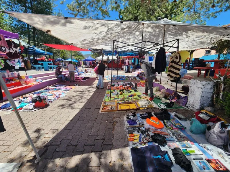 ESPACIO CONCESIONADO