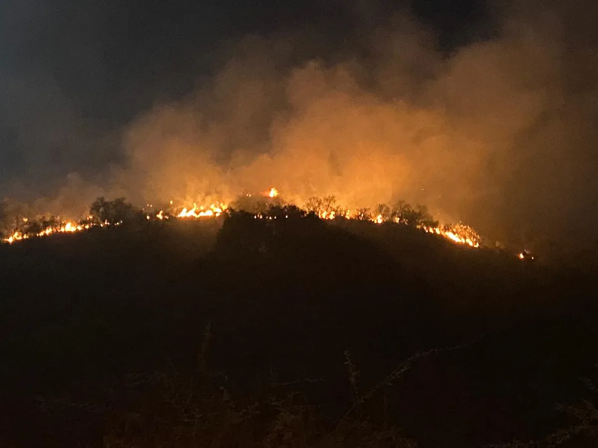 Incendio forestal en Tepeji: Bomberos luchan contra las llamas; dos heridos