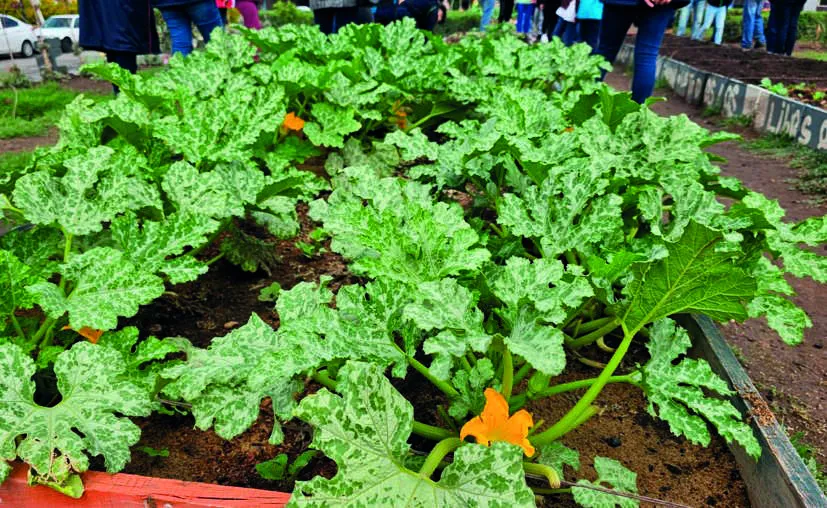 “Primeras piedras” para mejorar medio ambiente están puestas: Sergio Baños  