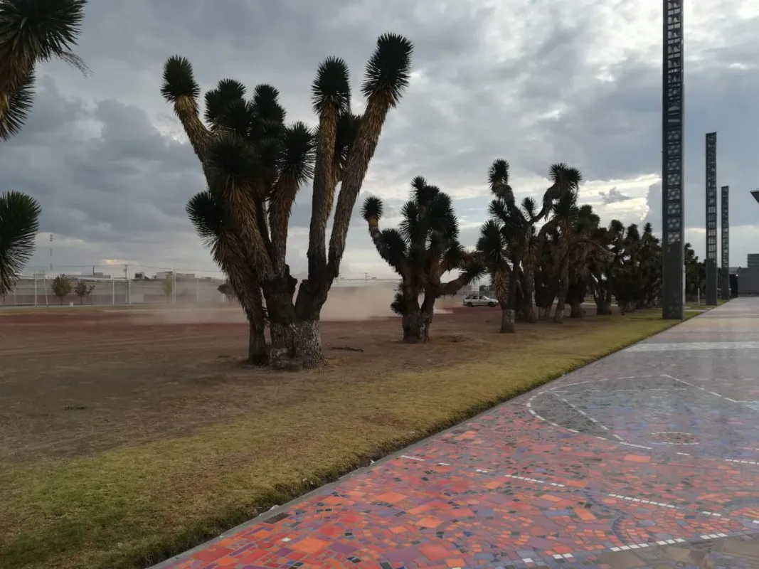 Detienen a automovilista por arrancones en el parque David Ben Gurión