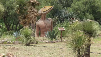 Parque Ecológico Cubitos