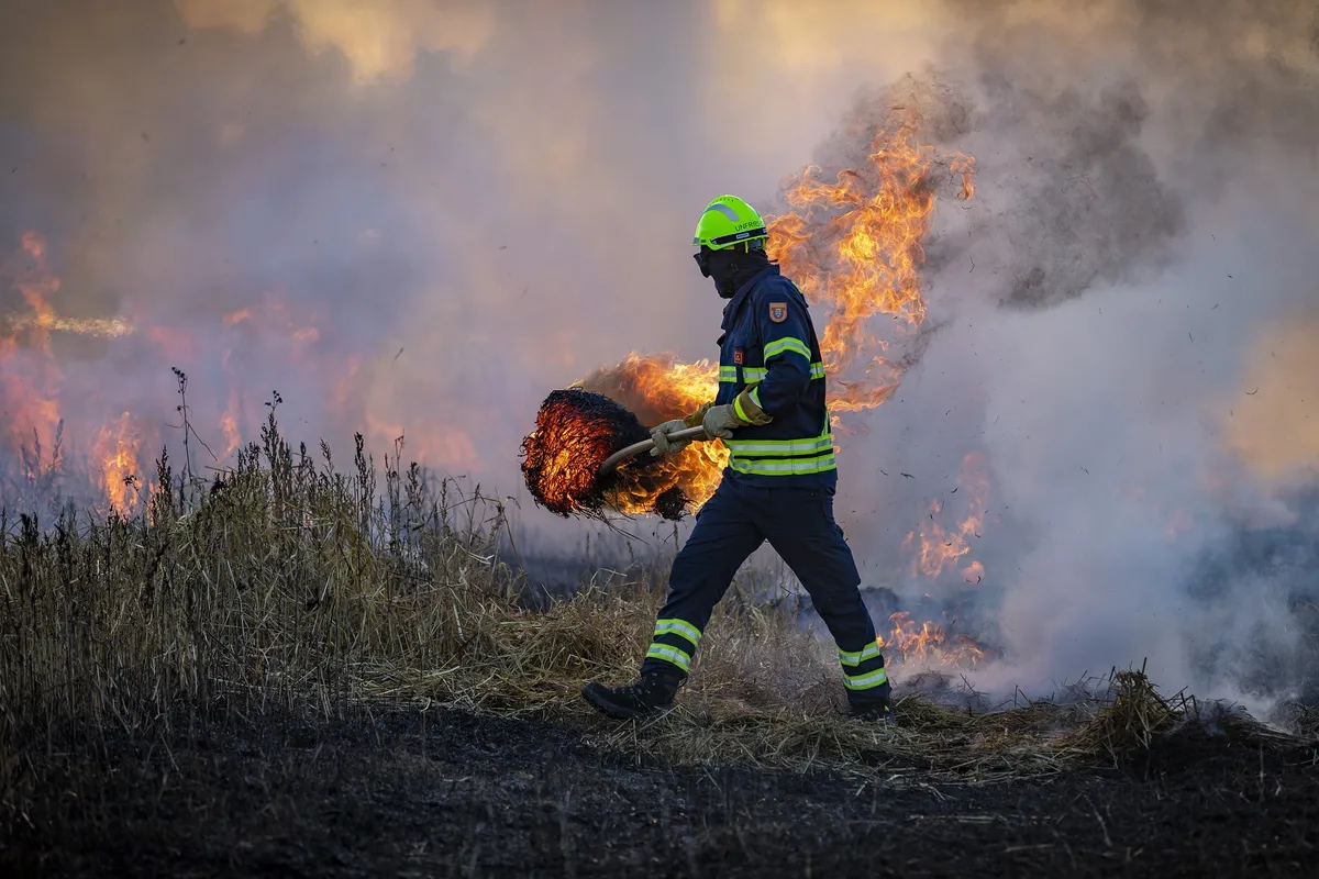 Incendios forestales sofocan la Otomí-Tepehua; otro activo en San Bartolo
