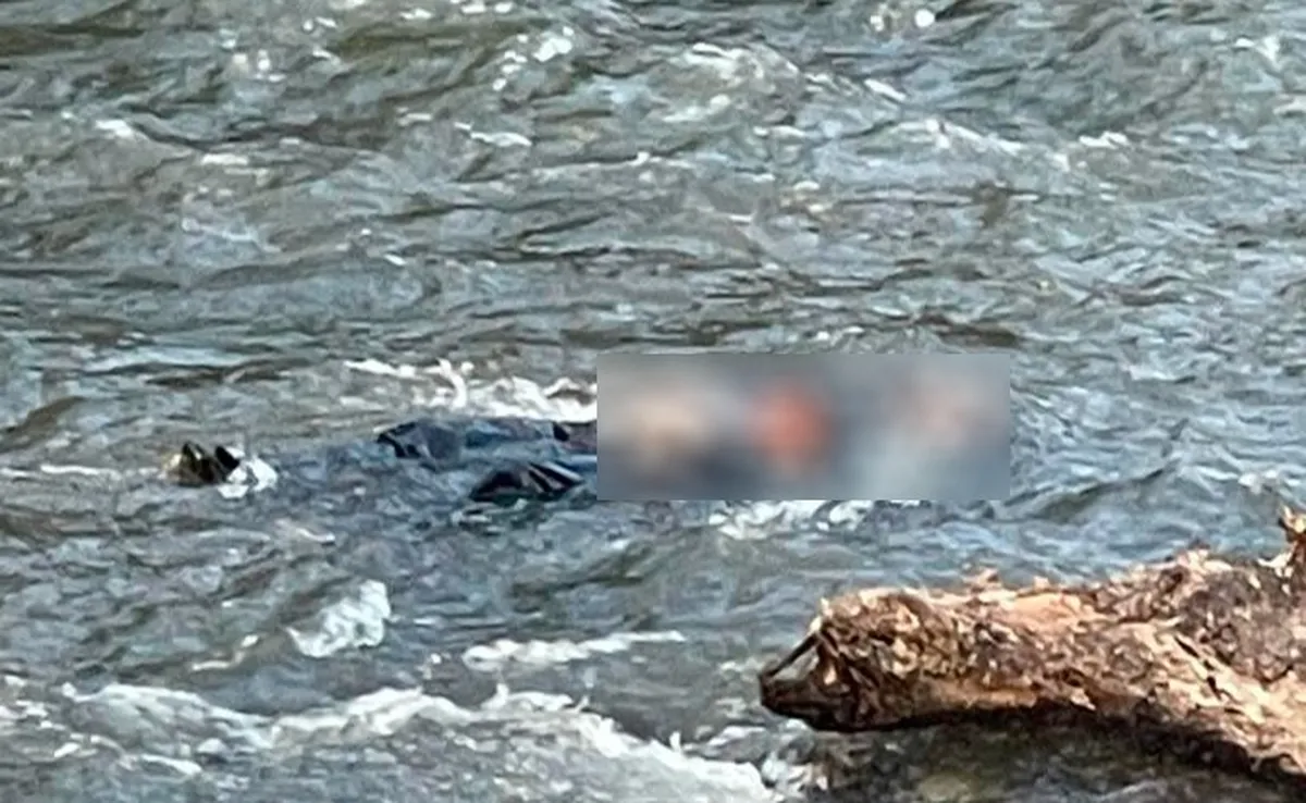 Hallan cuerpo flotando en el río Tula
