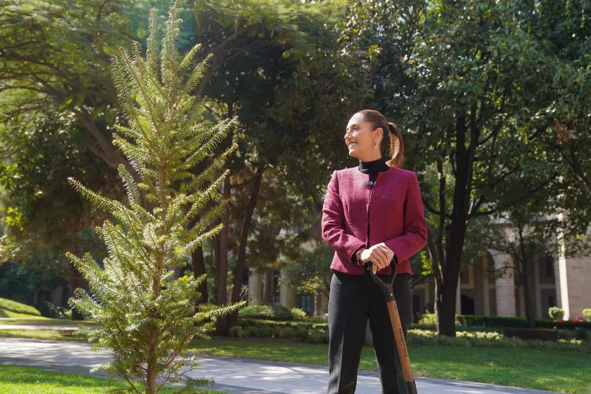 En 2024 más de 36 millones de mexicanos y mexicanas decidieron la continuidad de la Cuarta Transformación: Claudia Sheinbaum