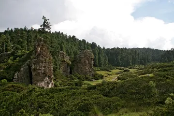 El Parque Nacional El Chico cerró accesos hacia Peña del Cuervo por trabajos de conservación. Consulta cuáles zonas están restringidas.