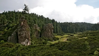 El Parque Nacional El Chico cerró accesos hacia Peña del Cuervo por trabajos de conservación. Consulta cuáles zonas están restringidas.