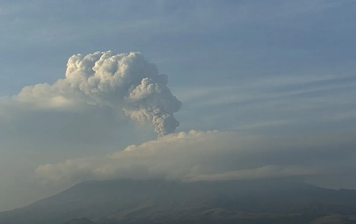 Parece que ‘Don Goyo’ ya se está serenando: López Obrador
