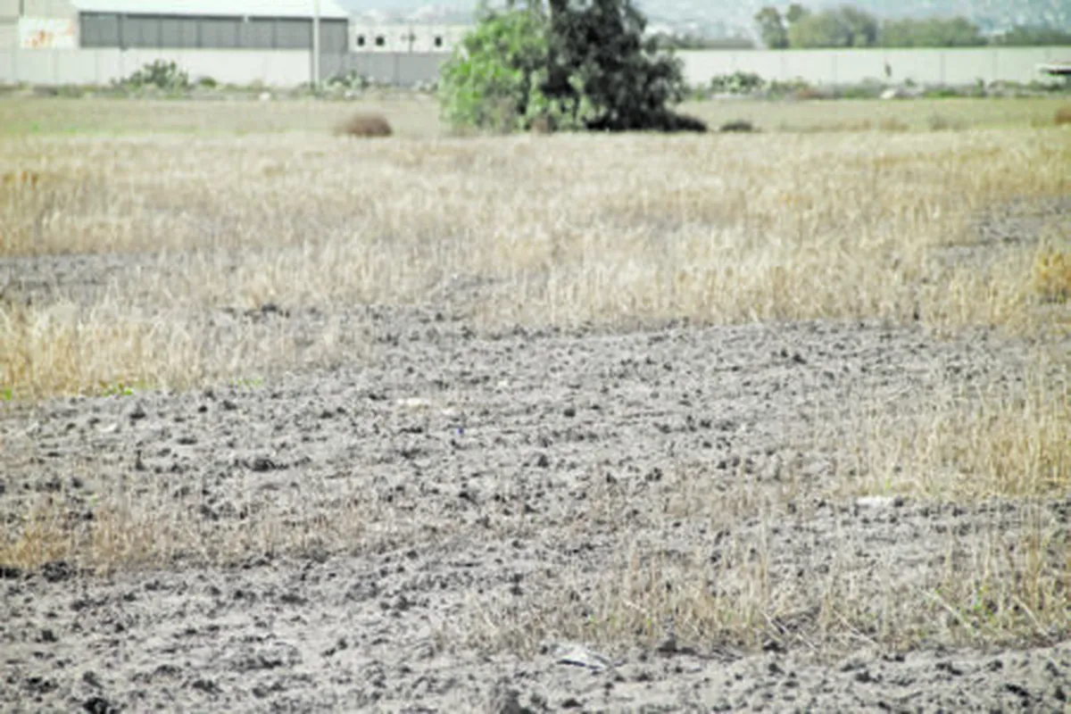 Hidalgo empieza 2025 con cuatro municipios en sequía anormal