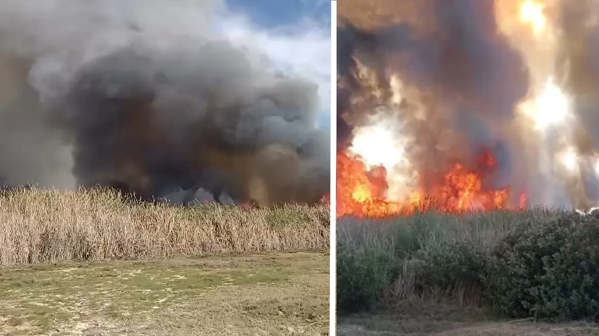 Ixmiquilpan: fuerte incendio de tules genera preocupación | VIDEO