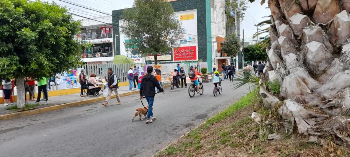 Seguirá adelante conversión peatonal de Avenida Revolución: Sergio Baños