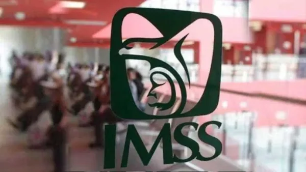 El Tarjetón Digital del IMSS 2026 permite a pensionado y jubilado consultar pagos, descargar comprobantes y evitar largas filas.