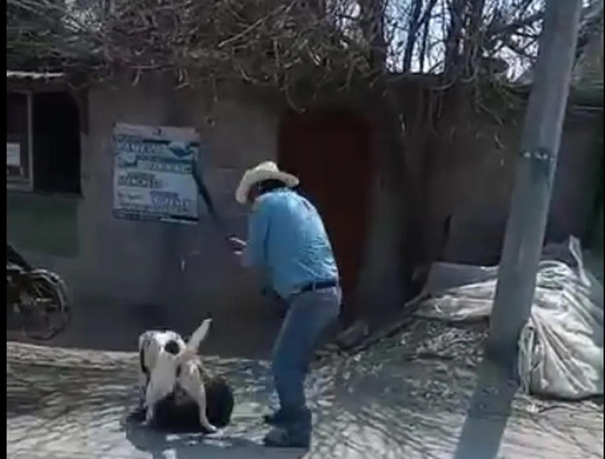 Hombre agrede a perro con machete en Actopan