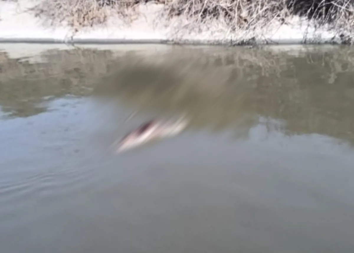 Atitalaquia: hallan cadáver flotando en canal de aguas negras