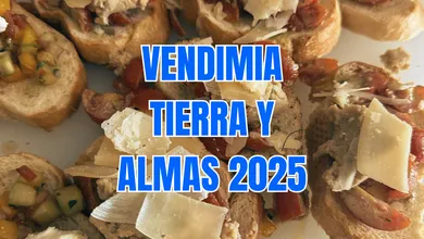 Personas pisando uvas durante la vendimia en el viñedo Tierra y Almas, en Tecozautla.