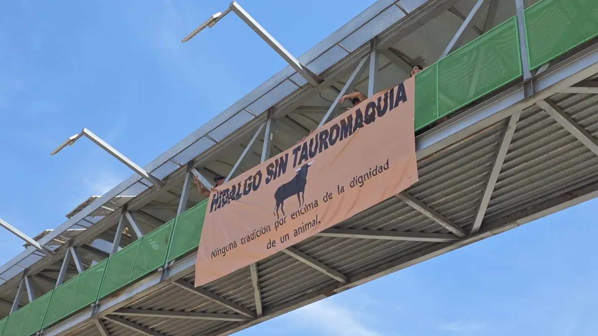 Acumulan más de dos mil firmas para prohibir las corridas de toros en Hidalgo