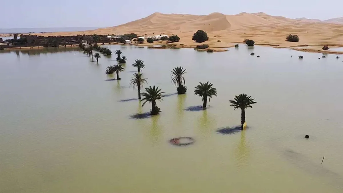 Caen inusuales lluvias en el desierto del Sahara