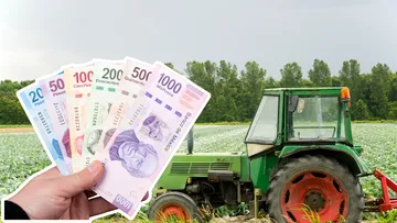 Productores agrícolas realizan labores en el campo durante la convocatoria de apoyos 2026 en Hidalgo.