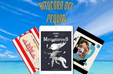 Moby Read es el club literario que rompe barreras: leer y escribir sin miedo ni etiquetas en Pachuca