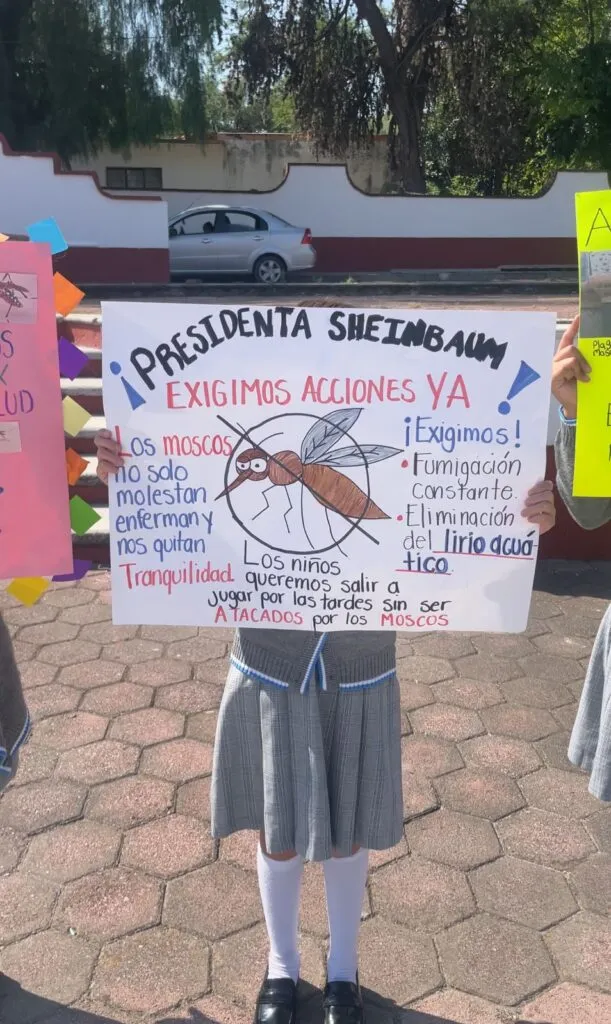 “Queremos salir a jugar”: niños protestan por moscos y lirio en la presa Endhó