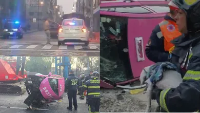 Un perrito sobrevive a choque ocurrido en Navidad en San Antonio Abad, donde un taxista murió tras impactarse contra una palmera y volcar.