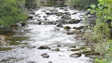 Ríos
