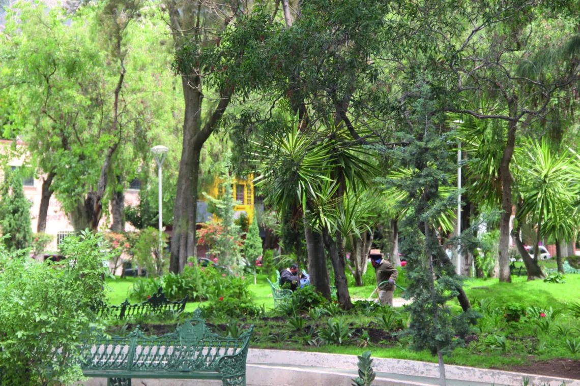 “Primeras piedras” para mejorar medio ambiente están puestas: Sergio Baños  