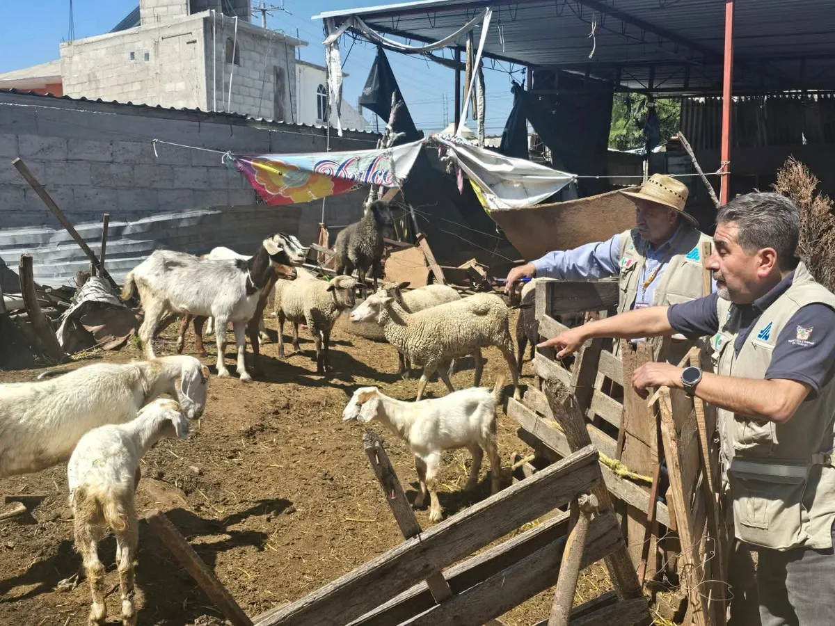 Refuerzan vigilancia en Tlaxcoapan con operativos y capacitación para evitar casos