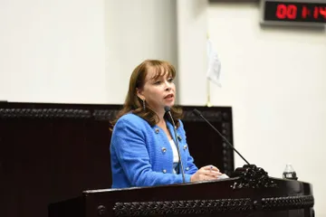 Diputada panista acusa violencia política