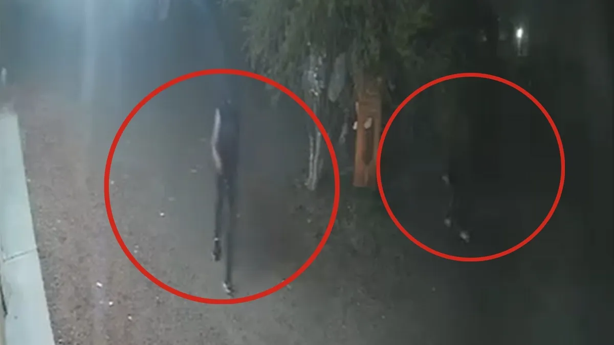 Captura de video de sujetos encapuchados