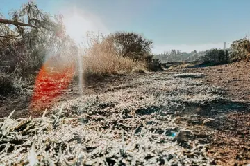 Heladas en Francisco I Madero: registran temperaturas de 6 grados