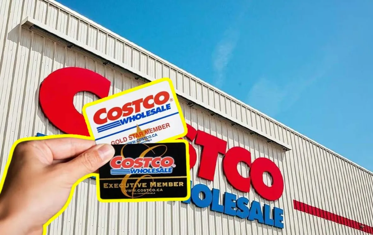 costco en pachuca tarjeta membresía