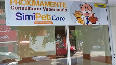 Pachuca se suma al modelo Simi Pet con consultas económicas y servicios básicos para perros y gatos.