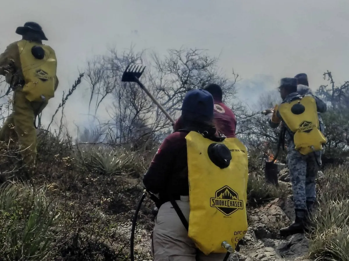 El fuego avanzó durante todo el día, pero fue contenido antes de llegar a zonas habitadas. Esto se sabe del incendio